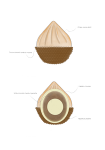 3x Oak nut "Hazelnut"