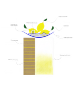 Load image into Gallery viewer, &quot;Lemon&quot;
